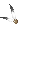 Deux plumes